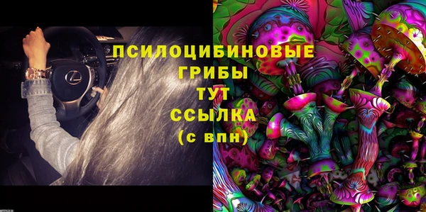 крисы Белокуриха