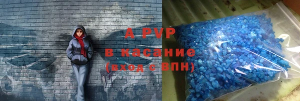 крисы Белокуриха
