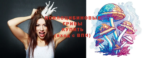 СК Вязьма