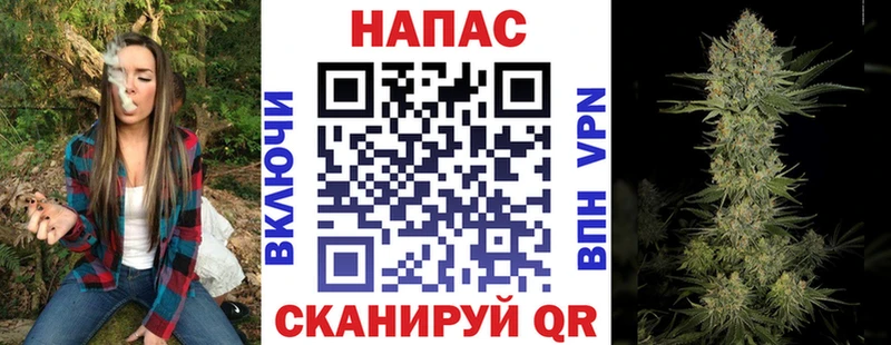 купить   Ахтырский  Канабис AK-47 